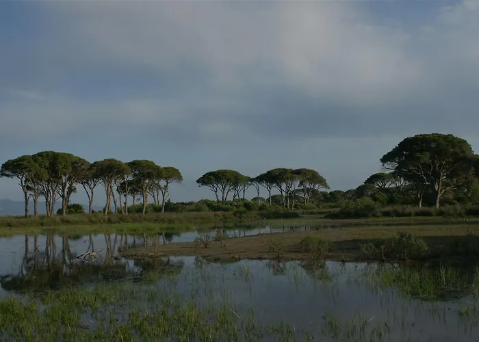 Ξενοδοχείο Al Mare Boutique Καλογριά