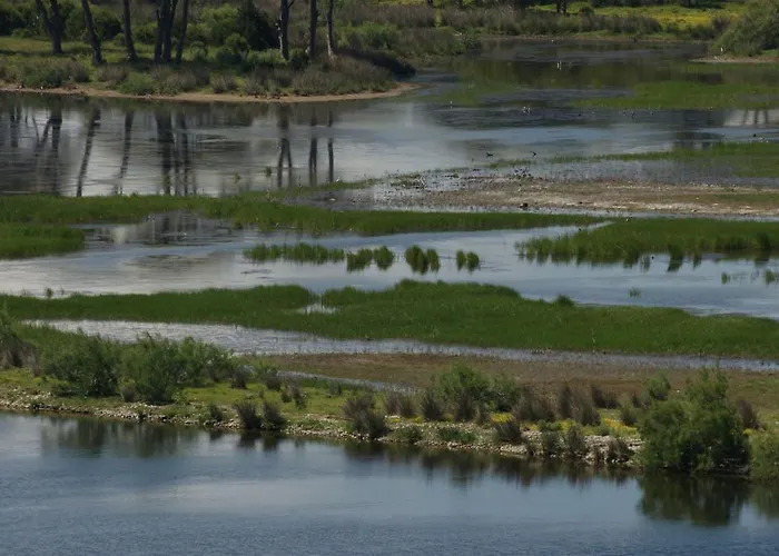 Al Mare Boutique Καλογριά