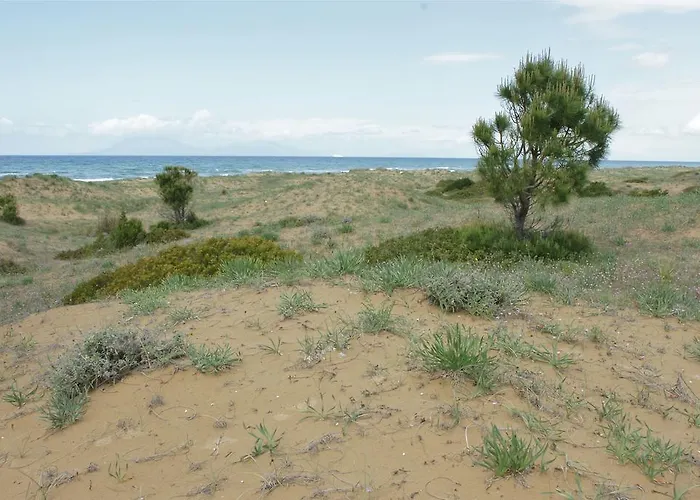 Ξενοδοχείο Al Mare Boutique 3*