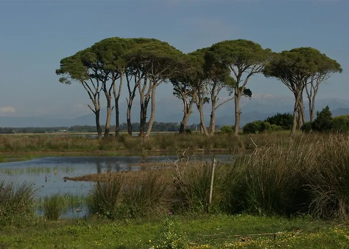 Ξενοδοχείο Al Mare Boutique 3*