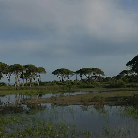 Hotel Al Mare Boutique Kalogria (Achaea)