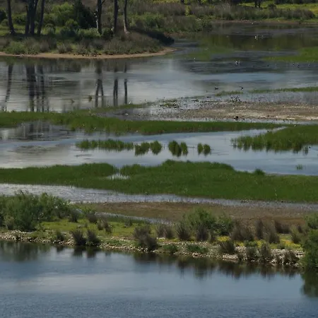 Al Mare Boutique 卡洛吉亚