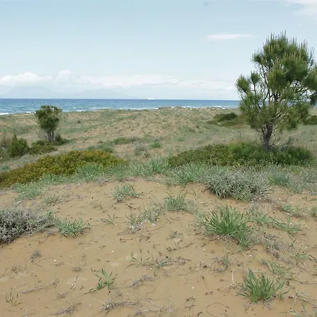 Otel Al Mare Boutique 3*