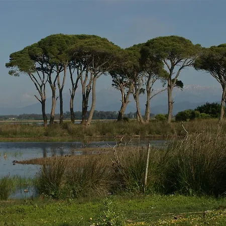 Hotel Al Mare Boutique 3*