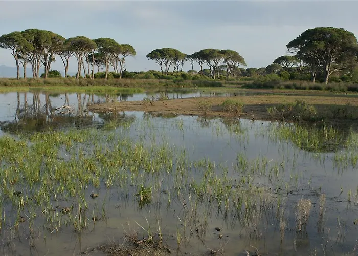 Al Mare Boutique كالوغريا