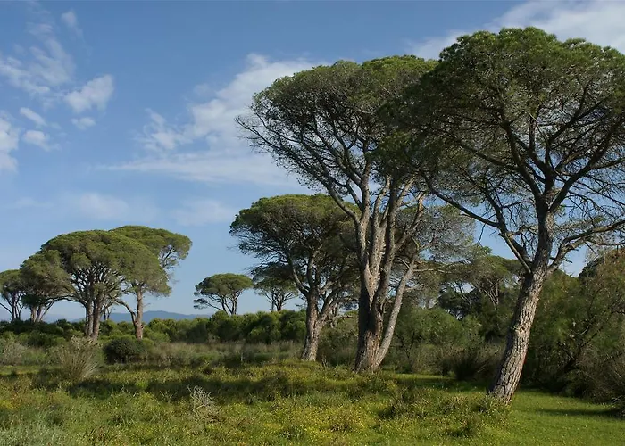 Отель Al Mare Boutique