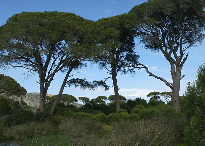 فندق Al Mare Boutique 3*