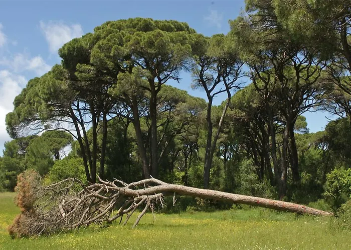 فندق Al Mare Boutique 3*